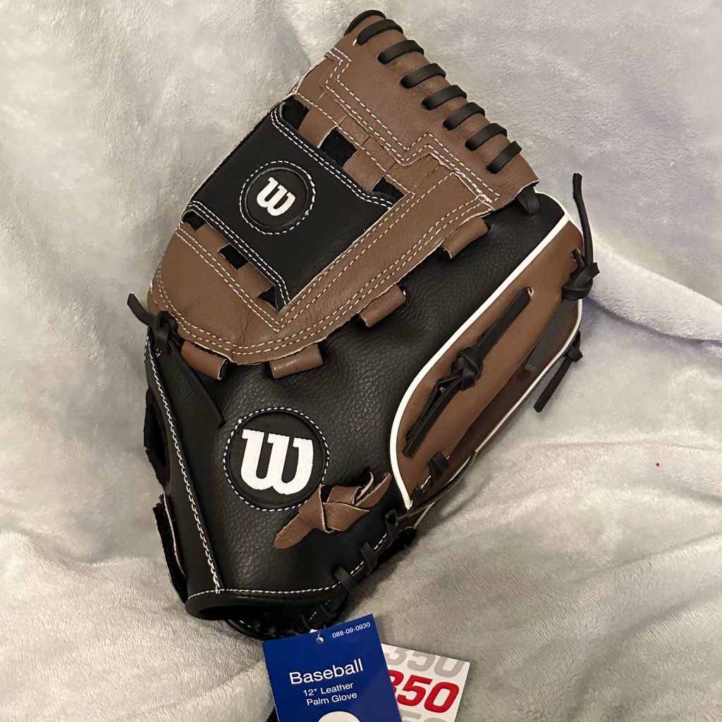 Baseball Glove